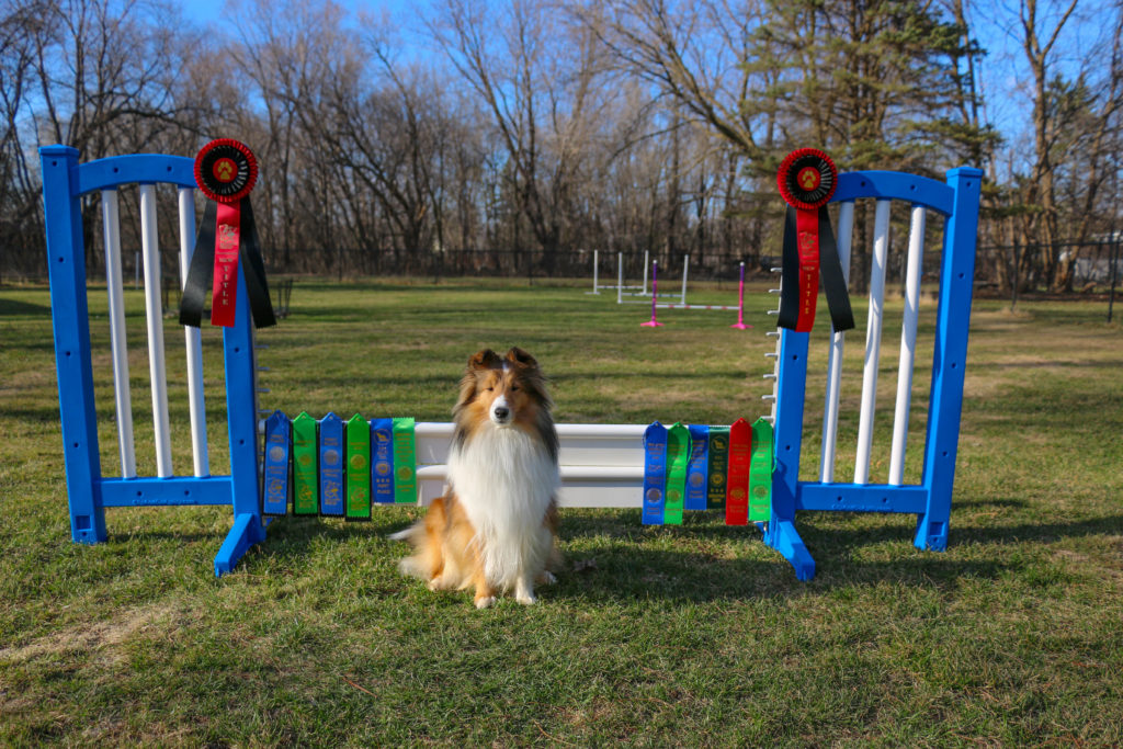 reba sit jump title ribbons