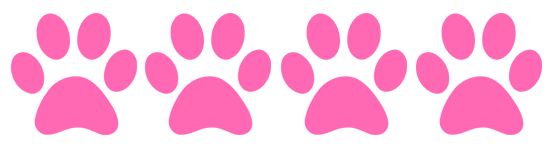 4 Paw Dog Rating