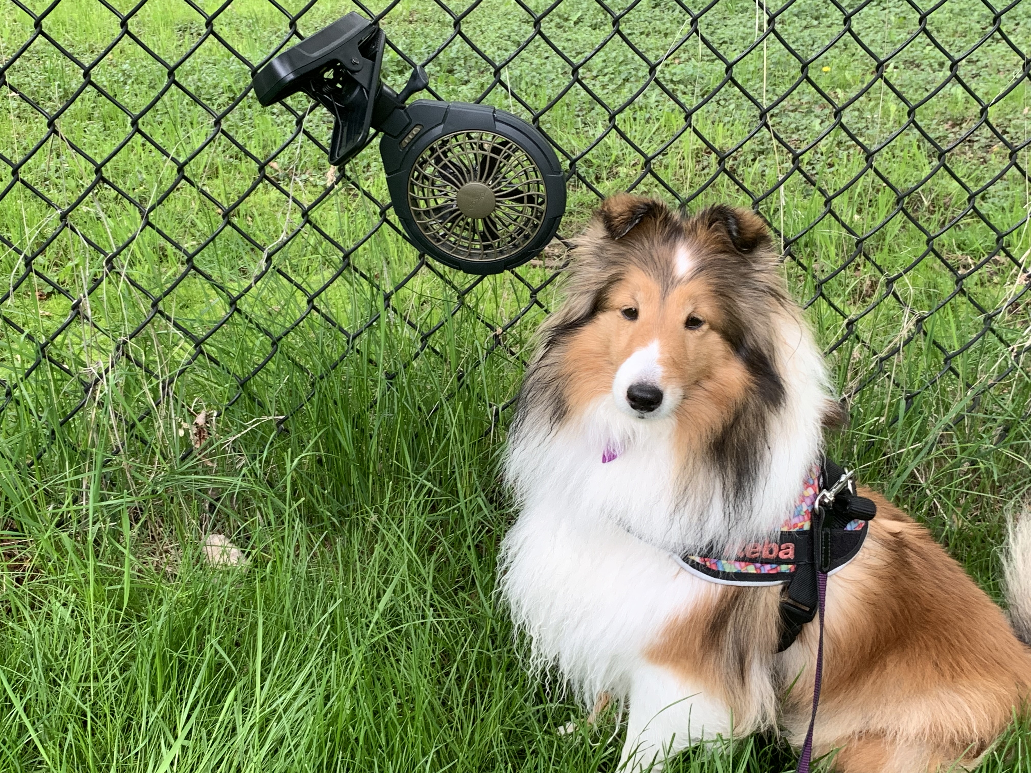 Keeping cool outside