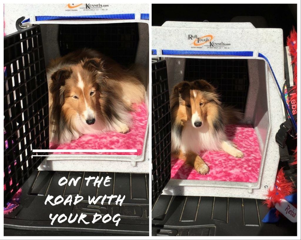 On The Road With Your Dog - Vehicle Safety Crates