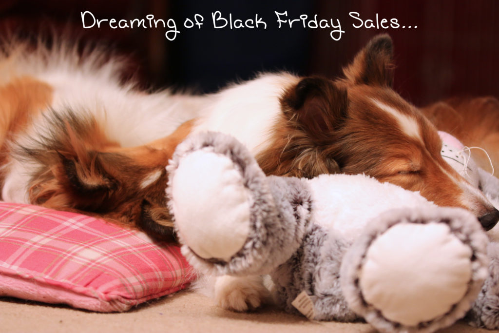 Are you dreaming of sales this Black Friday?
