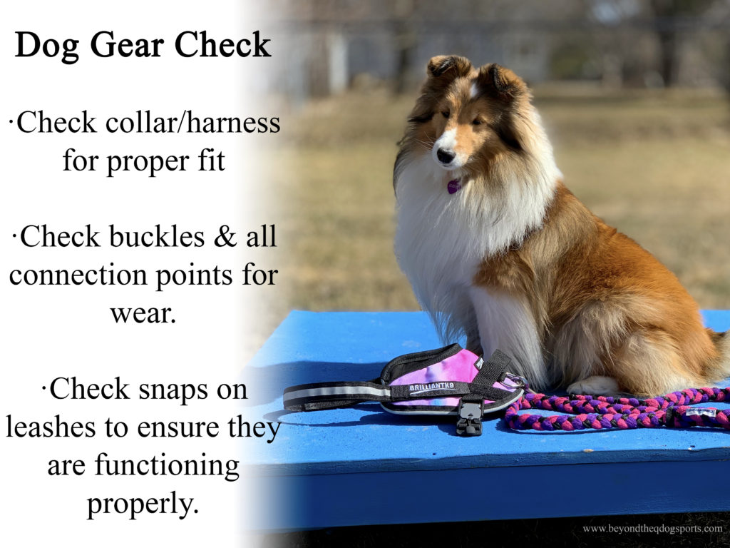 Check Your Dog Gear